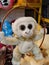 Soft toy baby Monkey cute gift