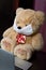Soft toy, bear, in a protective gauze mask. Sits at a laptop. Symbol of self-isolation during a virus outbreak