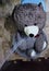 Soft toy big grey coloured bear