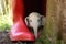 soft toy elephant peeking out of a pair of red kids rubber boots
