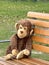 soft toy monkey sitting on a bench