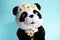 Soft toy Panda on a blue background with daisies on his head.Concept of the environment