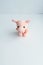 soft toy pig on a light background