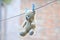 Soft toy teddy bear to dry on a rope