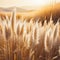 soft vegetation on an abstracted natural background Selloan cortaderia Pampas grass with a boho style background of