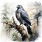 Soft Watercolor Illustration Of Majestic Gray Hawk On Branch