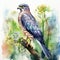 Soft Watercolor Illustration Of Peacock Levant Sparrowhawk In Nature