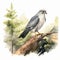 Soft Watercolor Illustration Of A Perched Grey Falcon On A Tree Trunk