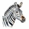 Soft Watercolor Zebra Portrait On White Background