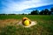 Softball and glove on Homepage and View of a Softball Field from Home Plate