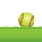 A Softball Sitting on Grass Illustration