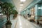 Softened backdrop, Hospital corridors focus gently blurs into serene visual harmony