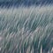 A softly blurred image of a field of tall grass swaying in the wind, evoking a sense of serenity and abstraction5, Generative AI
