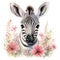 Softspoken Watercolor Baby Zebra Amidst Grasslands with Wild Roses on White Background AI Generated