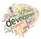 Software development concept in tag cloud