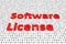 Software License