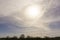 Softy and white fluffy cloudy blue sky with sunlight above the land of trees