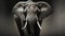 Soggy Style- Epic Portraiture Of A Detailed Wildlife Elephant In 8k Resolution