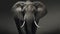 Soggy Style- Epic Portraiture Of A Detailed Wildlife Elephant In 8k Resolution