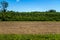 Soil bed in front of corn field