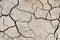 Soil cracked background.Land in dry season