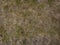 Soil with dried grass background. Seamless Texture of the Ground with Dry Herbs.
