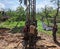 soil drilling with a simple drilling machine in the village of Bejiharjo