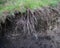 Soil Erosion in the Agricultural Field