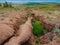 Soil erosion, deep ravine in the distance. Scenic view to colorful unusual relief. Picturesque gorge in highlands