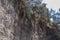 Soil erosion mountainside along the road. Weathered rock with tropical vegetation. Trees and grasses extend over the edge