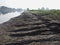 Soil erosion on the river bank