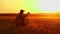 Soil, Farmer exam ground at sunset