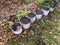 Soil-filled Pots Lined Up in Beautiful Wild Garden