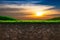 Soil and Grass in Sunset Background