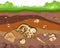 Soil ground layers with buried fossil animals, dinosaur, crustaceans and bones. Vector flat style cartoon illustration