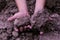 Soil in kids hand, cultivated dirt, earth, ground, brown land b