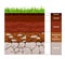 Soil layer infographic, earth geology formation