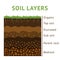 Soil layer section, dirt cross ground. Earth with rock and root plants, formation structure diagram. Diagram or training