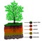 Soil Layer and Tree