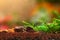 Soil layers, macro landscape of small pebbles .