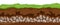 Soil layers. Surface horizons upper layer of earth structure with mixture of organic matter, minerals. Dirt and