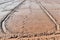 Soil mud and footprint in rice field prepare for plant rice in agriculture