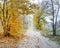 Soil path in the abandoned park in the fall.