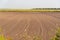 Soil prepared for planting and in the background a dryland rice plantation