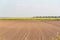 Soil prepared for planting and in the background a dryland rice plantation