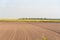 Soil prepared for planting and in the background a dryland rice plantation