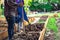 Soil in rectangle flowerpot is prepared for homegrown vegetable planting in the garden