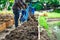 Soil in rectangle flowerpot is prepared for homegrown vegetable planting in the garden