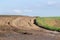 Soil road on the agrarian field, blurred with showers