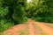 Soil road have gone inside the village forest or jungle under blue sky